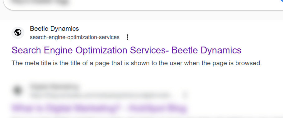 Meta Title in SEO- Beetle Dynamics